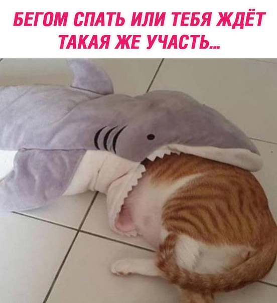 Немного картинок для настроения
