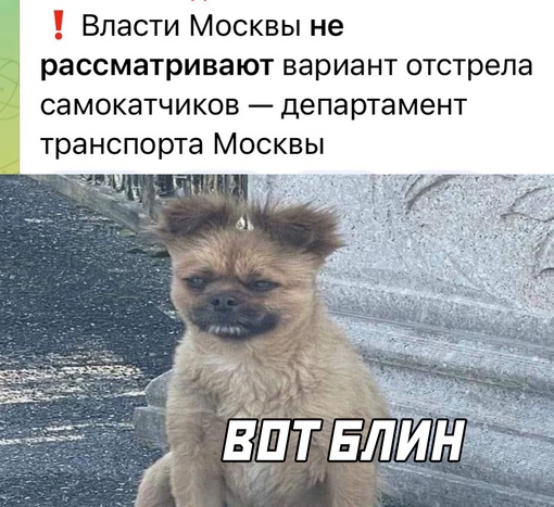 Картинки и мемы, всяко разно - 179