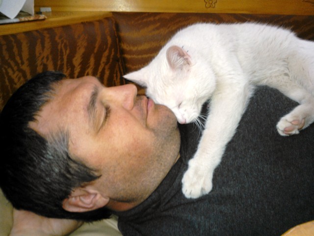 Котовторник 09.04.2013