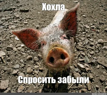 Еще один миллиардер отказался от российского паспорта