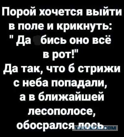 Картинки от Scodero 2024-1