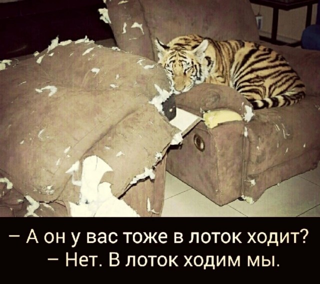Тлидцать тли от 20 февлаля