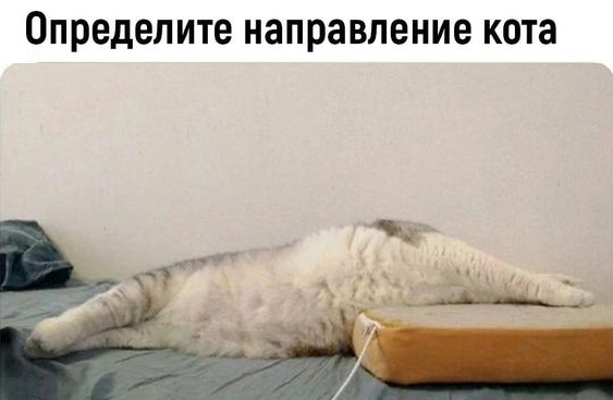 Так себе картинки 23.02.24