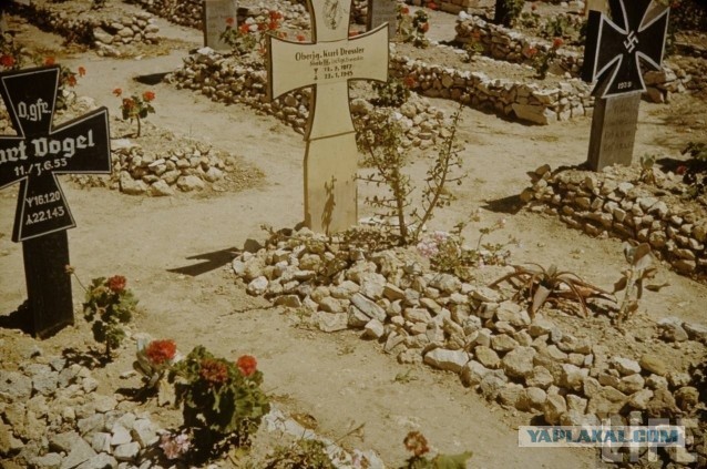 Вторая мировая война в цвете