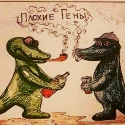 Завалялось тут случайно немного забавных картинок