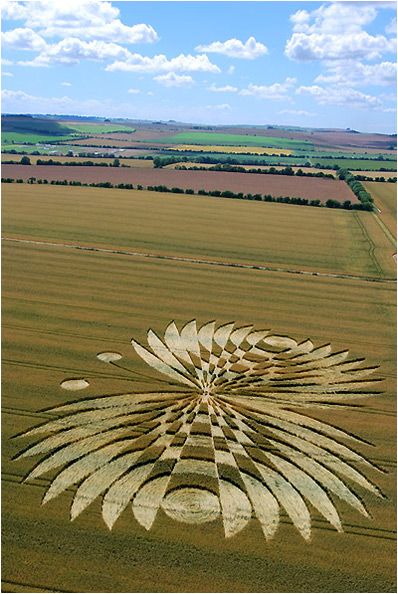 Прикольные и просто красивые картинки 14.06.24