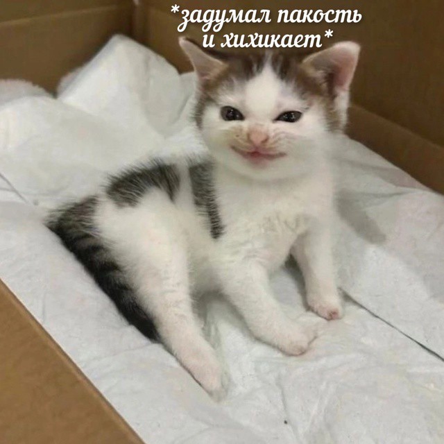 Всего понемногу. От 29.06.2024