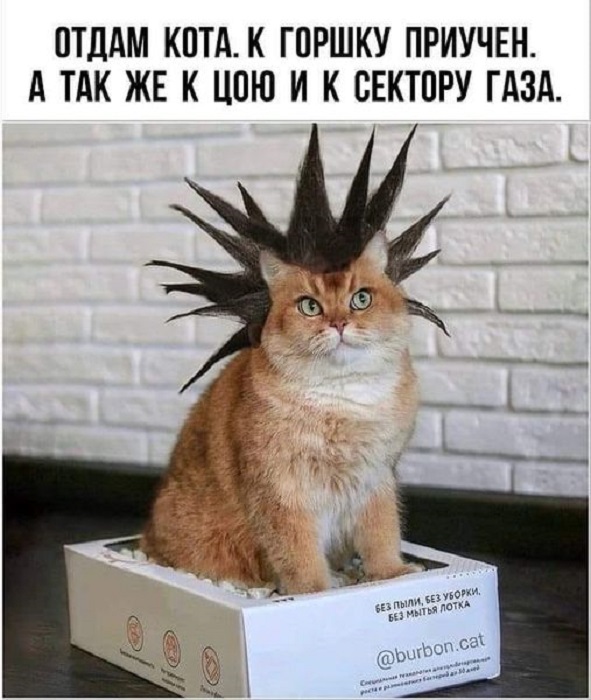 Картинки разные с надписями и без