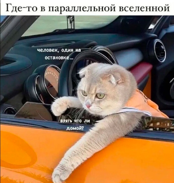 Так себе картинки 25.08.24