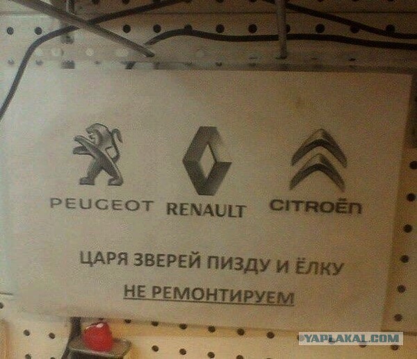 Берите китайцев, говорили они.