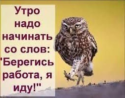 Картинки от 16 февраля