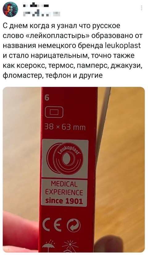 Весёлый полтишок 06.06.25