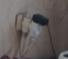 Кото вторник 2.09.2025.