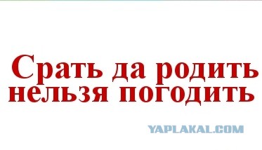 Пора какать