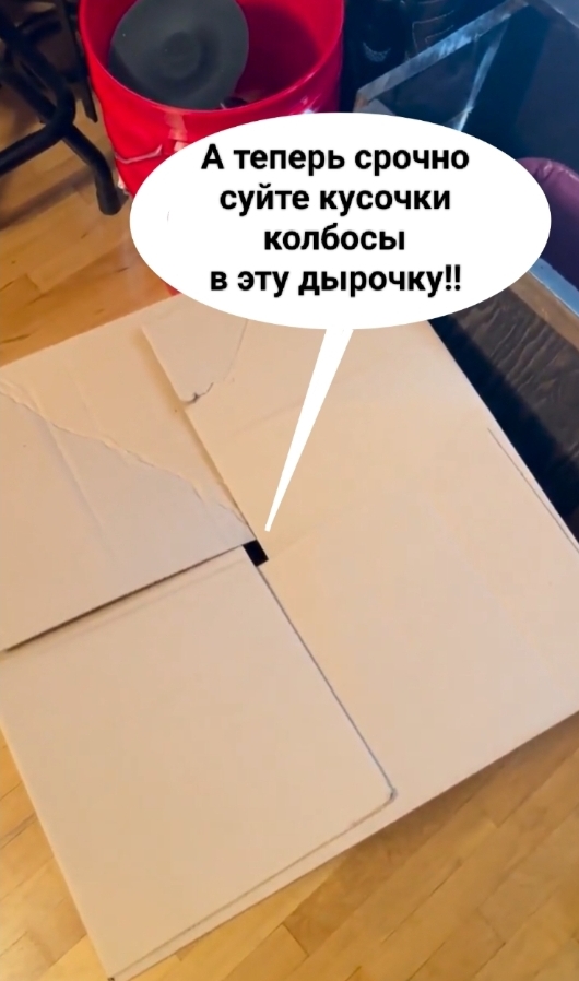 Исчезновение