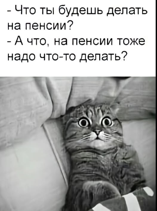 Картиночки, баянчики 24 января