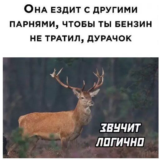 Картиночки, баянчики 03 апреля