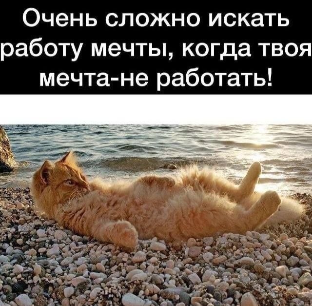 Картинки для деградации 178 (разной степени свежести)