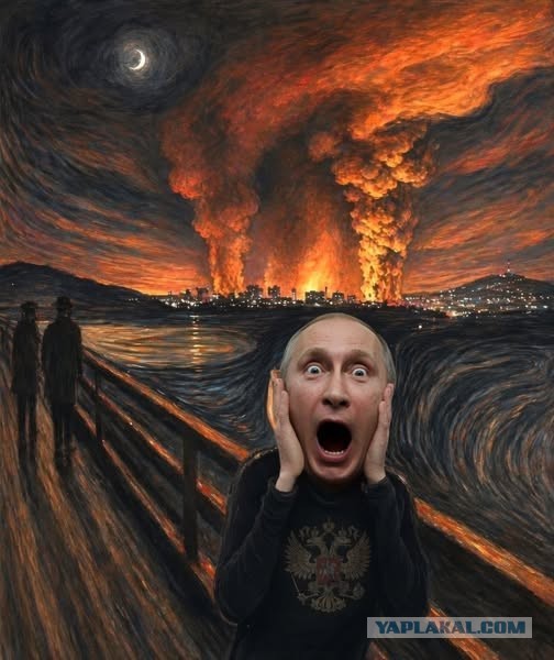 Опрос ВЦИОМ показал, сколько россиян доверяют Путину