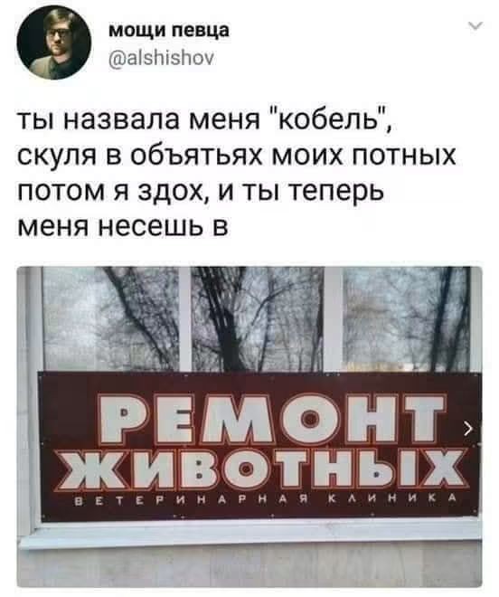 Веселые картинки в пятницу (18.09)