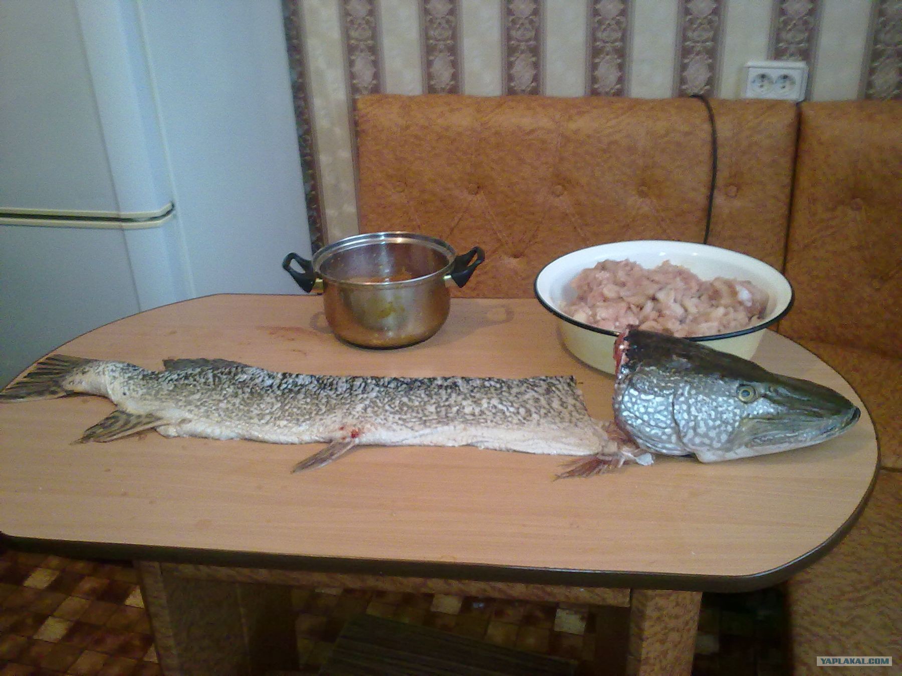 Солим Щуку В Домашних Условиях Рецепт