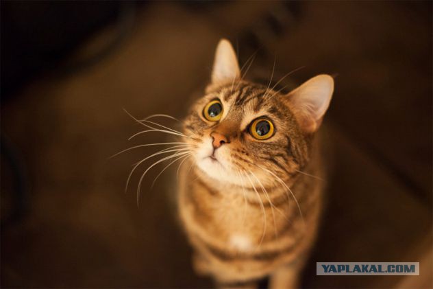 10 простых вопросов, на которые сложно ответить