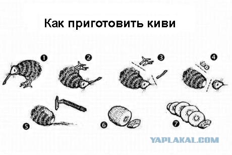 Сходил в парк - наловил бабочек