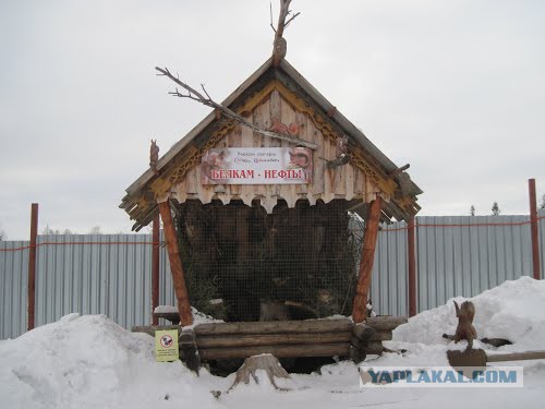 Ижевский зоопарк