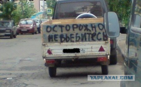 Заднетуманщики
