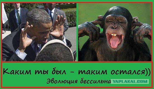 Весёлые картинки на субботу