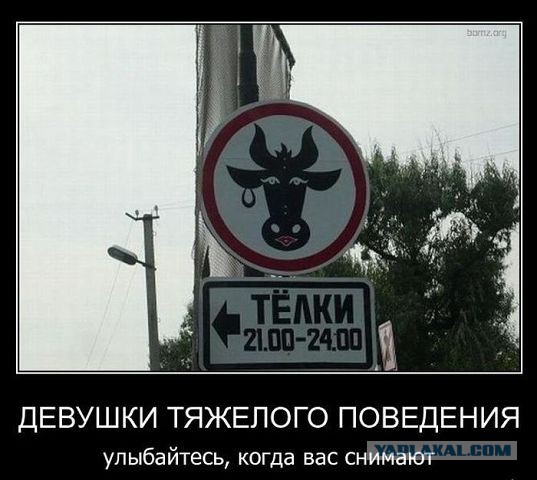 Весёлое из сети