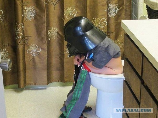 Вестник социальных сетей