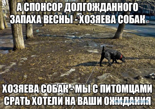 Встреча, агов?! - Сообщество "Citroen DS Family" на DRIVE2