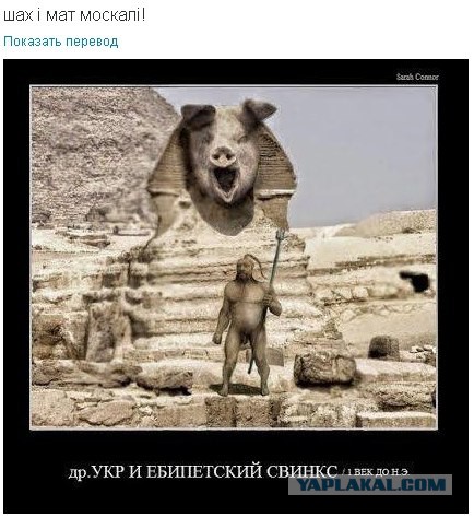 Немножко картинок