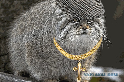 - За что?! - Было б "за что" - вообще убил бы!