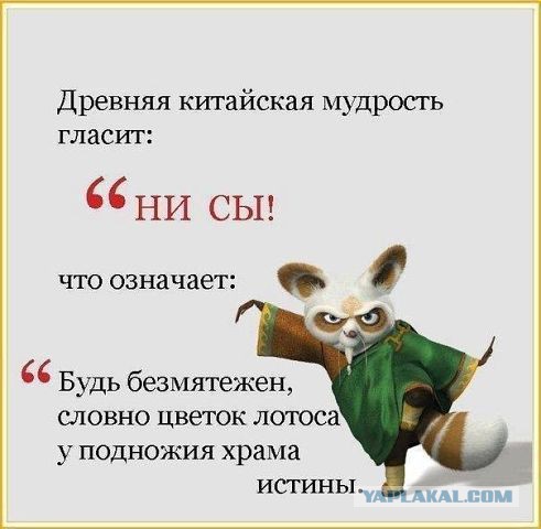 Плюшкиным посвящается