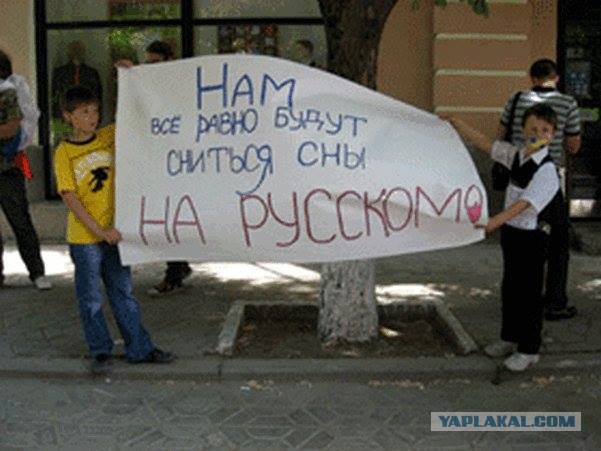 Перемирие кончилось, едва начавшись. Часть 15