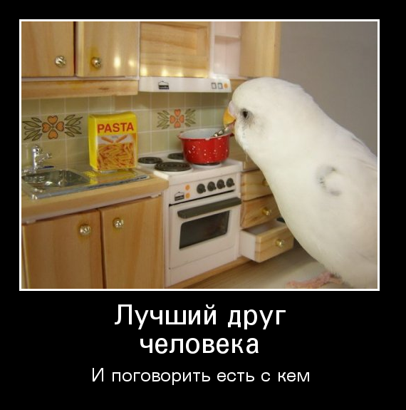 Смотрите! Вот он... без страховки ползет!