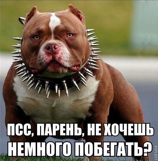 Немного картинок и демотиваторов