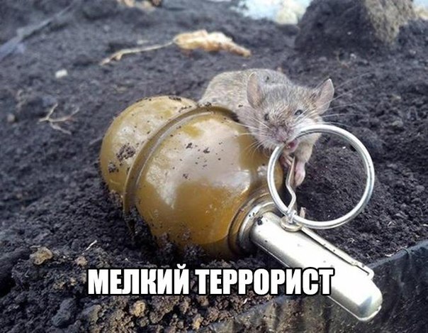 Картинки разные из сети