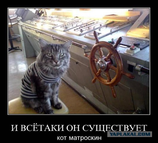 Отовсюду понемногу