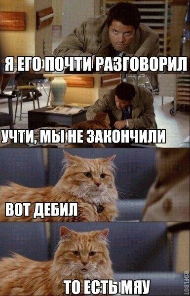 Веселые картинки