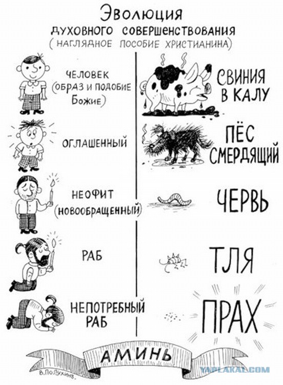 Оскорбление чувств верующих проверят по Конституции РФ