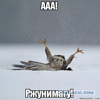 "Я приеду прямо сейчас"