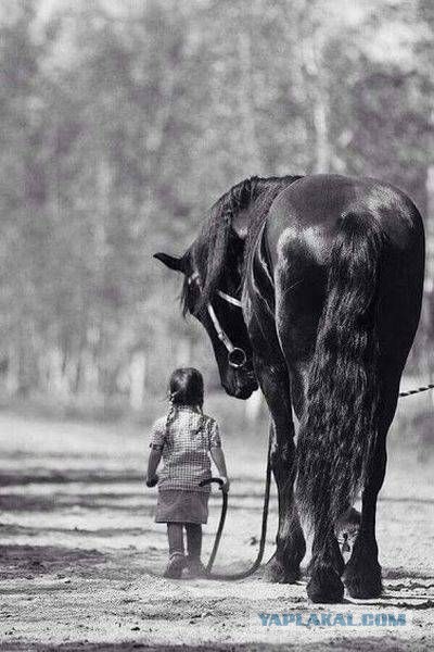 Подборка интересных и красивых фото