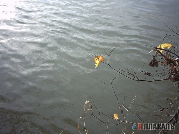 ВОДА. Моря, океаны, реки, водопады, капли, брызги