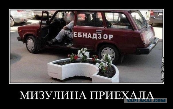Мизулина и Чайка поддержали идею фильтровать собщения в WhatsApp