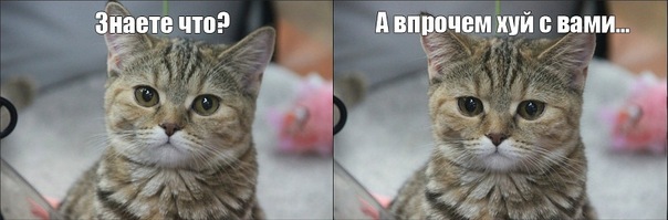 Премия Рунета 2016, игра началась!
