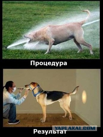 Подборка картинок