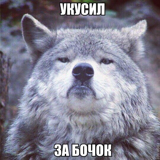 Фото-коктейль...